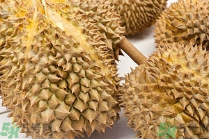榴蓮能放冰箱嗎？榴蓮放在冰箱能保存幾天？