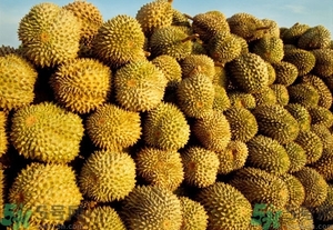 榴蓮能放冰箱嗎？榴蓮放在冰箱能保存幾天？