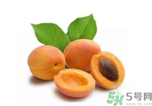 杏子上有黑點(diǎn)是怎么回事？杏子上有斑點(diǎn)可以吃嗎？
