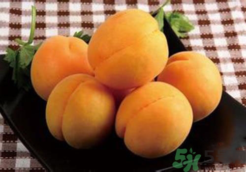 杏子皮可以吃嗎？吃杏子要剝皮嗎？