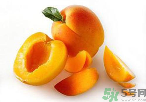 杏子有毒嗎？杏子吃了會(huì)中毒嗎？
