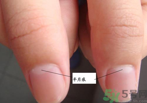 指甲沒有月牙是什么原因？指甲沒有月牙怎么調(diào)理？