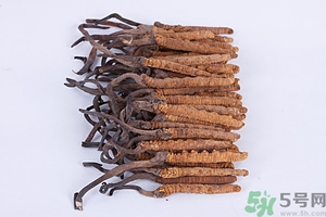 冬蟲夏草真假怎么鑒別？冬蟲夏草怎么吃效果最好？