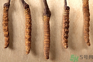 冬蟲夏草真假怎么鑒別？冬蟲夏草怎么吃效果最好？