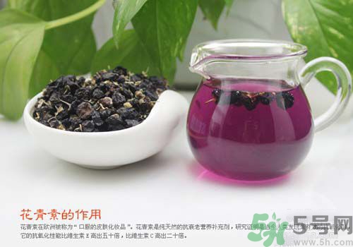 黑枸杞泡水是什么顏色？黑枸杞泡水是紫色的嗎？