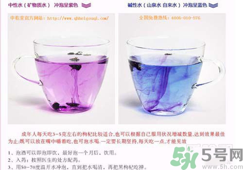 黑枸杞怎么辨別真假？怎么挑選黑枸杞？