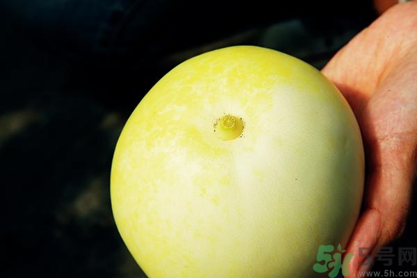 香瓜有酒味能吃嗎？香瓜有酒味吃了會怎樣？