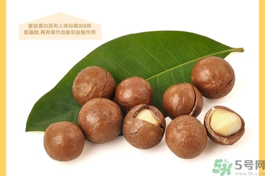 夏威夷果肉黏殼怎么辦？夏威夷果能放多久？