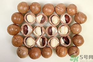 夏威夷果產(chǎn)地在哪里？夏威夷果為什么有奶香？