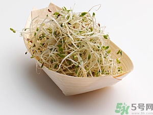 豆芽可以生吃嗎？豆芽炒粉條的家常做法