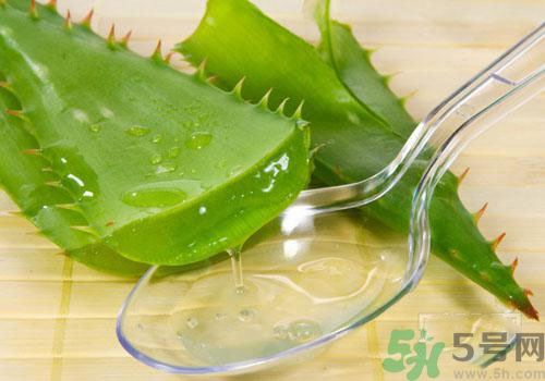 蘆薈膠要洗臉嗎？用完蘆薈膠要不要洗臉？