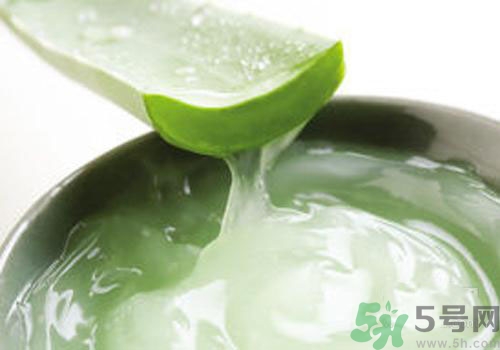 蘆薈膠可以天天用嗎？蘆薈膠天天用好不好？