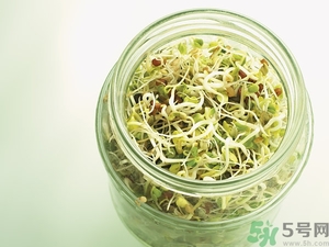 吃豆芽會(huì)胖嗎？豆芽會(huì)不會(huì)讓人長胖？