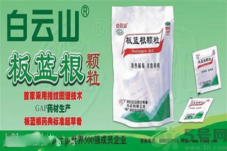 感冒了吃板藍根有效嗎？感冒了吃板藍根有用嗎？