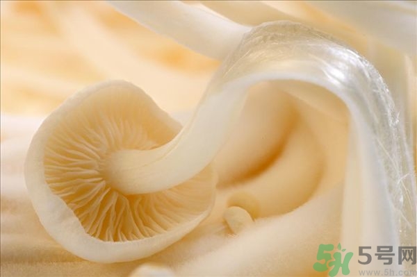 致癌金針菇怎么鑒別？如何選購(gòu)金針菇？