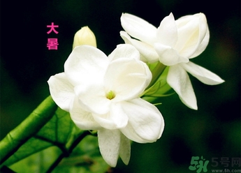 大暑是幾月幾日？大暑是什么意思？