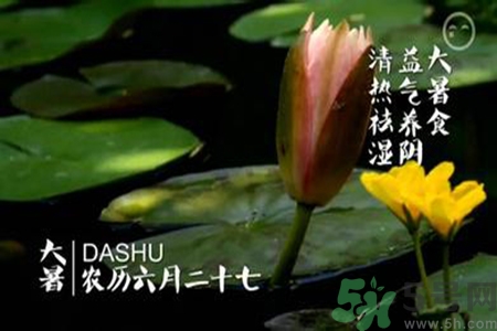 大暑吃什么養(yǎng)生？大暑吃什么好？