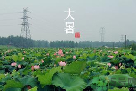 大暑吃什么養(yǎng)生？大暑吃什么好？