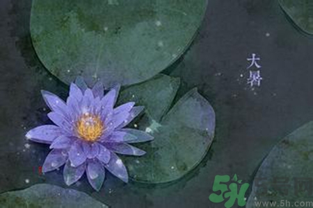 大暑吃什么養(yǎng)生？大暑吃什么好？