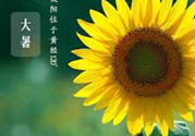 大暑是幾月幾日？大暑是什么意思？