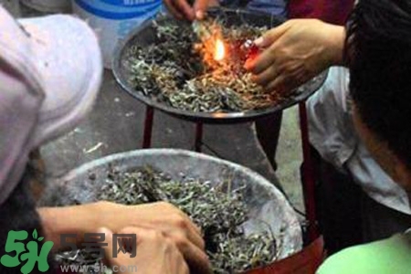 夏天可以用艾草驅(qū)蚊嗎？夏天可不可以用艾草驅(qū)蚊？