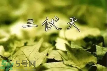 三伏天什么時(shí)候結(jié)束？三伏天是哪幾天？