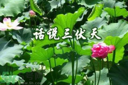三伏天吃什么？三伏天傳統(tǒng)美食有哪些？