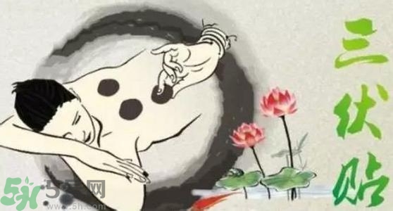 三伏貼有用嗎？三伏貼可以治什么??？