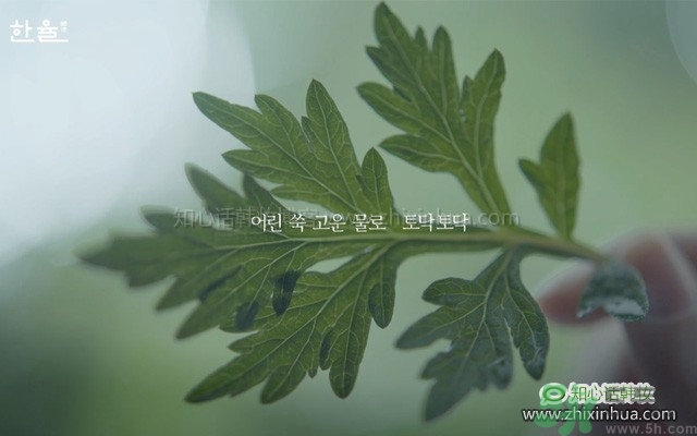 韓律艾草補水鎮(zhèn)靜噴霧怎么樣？好用嗎？