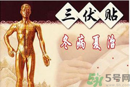胃病可以貼三伏貼嗎？胃病貼三伏貼貼哪里？