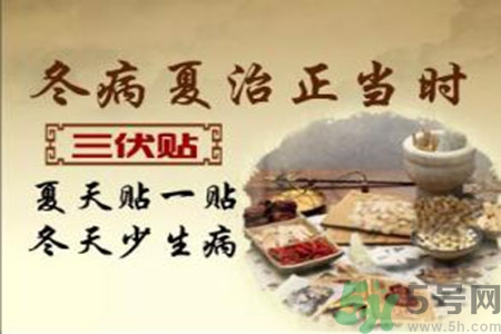 胃病可以貼三伏貼嗎？胃病貼三伏貼貼哪里？
