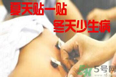 腰痛貼三伏貼有用嗎？腰痛三伏貼貼哪個穴位？
