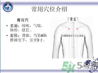 三伏貼可以貼肚臍嗎？三伏貼可以貼肚臍眼嗎？