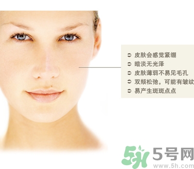 干性皮膚用什么洗面奶？干性皮膚該怎么保養(yǎng)？