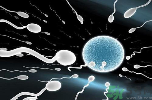 高溫對(duì)精子有影響嗎？高溫對(duì)精子有什么影響？