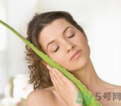 蘆薈膠會堵塞毛孔嗎？蘆薈膠應(yīng)該怎么用？