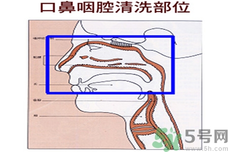 鼻炎能用生理鹽水清理鼻腔嗎？鼻炎能不能用生理鹽水清理鼻腔？