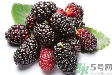 桑葚怎么洗？桑葚怎么保存？