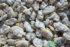 花蛤的營養(yǎng)價(jià)值有哪些？生取蛤肉的方法是什么？