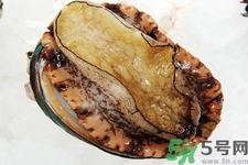 鮑魚如何挑選？鮑魚如何保存？