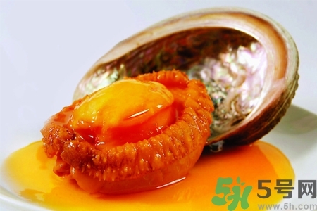 鮑魚如何挑選？鮑魚如何保存？
