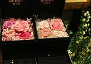 野獸派的花多少錢？野獸派的花哪里買？