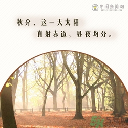立秋是秋分嗎？立秋和秋分的區(qū)別？