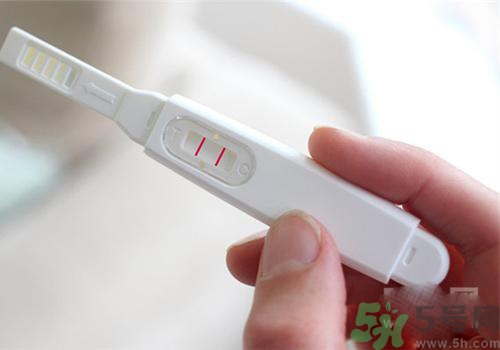 驗孕棒是什么原理？驗孕棒是不是一定要用晨尿？