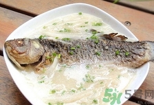 魚(yú)湯有苦味是怎么回事?魚(yú)湯有苦味怎么辦?