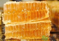 蜂膠是什么東西？蜂膠可以長期服用嗎？