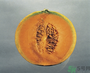 哈密瓜沒(méi)熟能吃嗎？哈密瓜沒(méi)熟怎么辦？