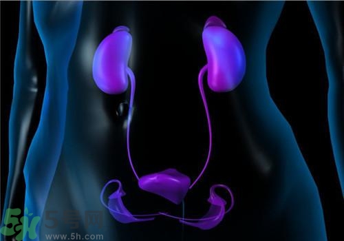 慢性腎炎能治好嗎？慢性腎炎能活多久？