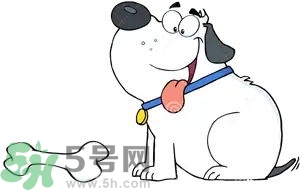 七夕單身狗怎么過？單身怎么過七夕？