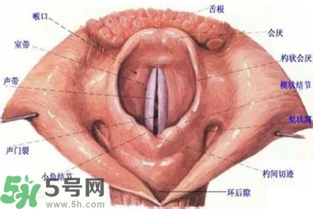慢性咽炎的發(fā)病因素？慢性咽炎的并發(fā)癥有哪些？